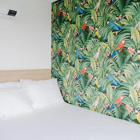Apartment Your In Paradise *